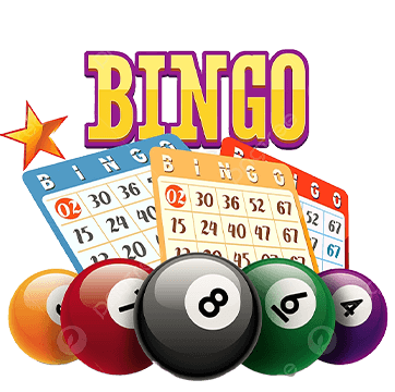 bingo-4 (1)